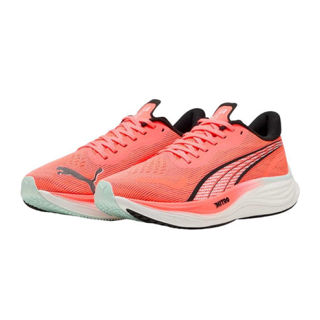 Tenis Puma Velocity Nitro 3 377748 24 - Sneakers Online